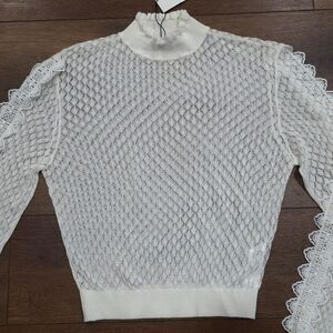 NEW Zara Sheer Lace Top L Ivory Long Sleeve Ruffle Mock Neck Romantic Boho Chic